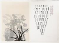 BRUNO MUNARI 10 opere 1930 - 1970