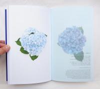 竹尾デスクダイアリー 2017 Vol.59 花の色・実の色・紙の色