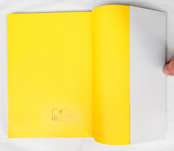 ESPRIT'S GRAPHIC WORK 1984-1986(著 : Roberto Carra , Oliviero