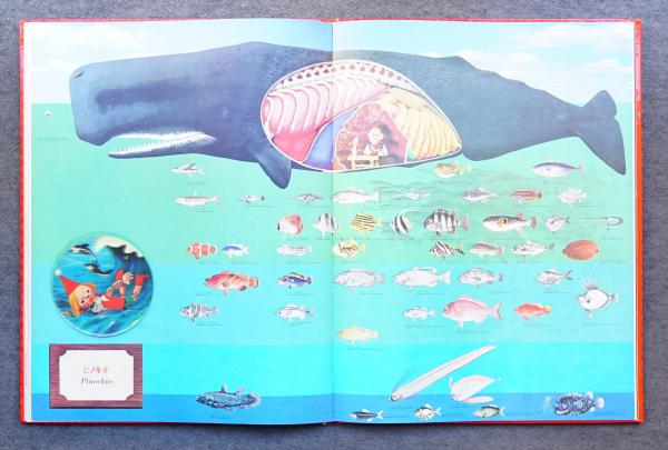 世界一大きい絵本　人類は何を見てきたか　講談社 世界一大きい絵本 人類はなにを見てきたか + 普及版 2冊一括(編