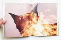 猫の麦わら帽子(深瀬昌久 : 著 ; 村瀬秀明 : 装幀) / 古本、中古