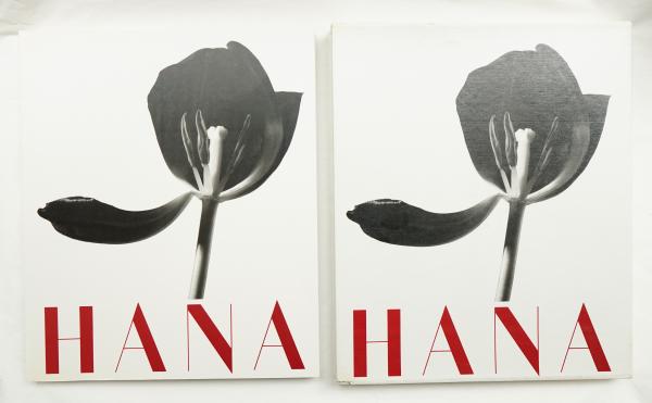 石元泰博〈HANA〉ポストカード発売のお知らせ | 石元泰博フォト