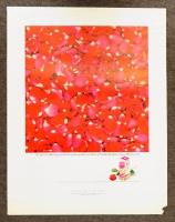 Sony, Polaroid, Yardley, Olin Mathieson Chemical, Clairol, Broxodent 広告 15点一括
