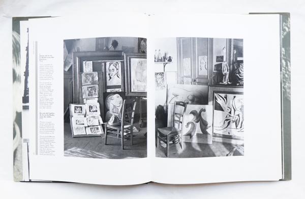 Picasso vu par Brassaï(Marie-Laure Bernadac) / 古本、中古本、古 Picasso vu par Brassaï(Marie-Laure Bernadac) / 古本、中古本、古