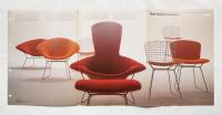 Knoll International