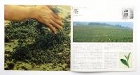 ほし 1965年5月 第20号 特集 : すまい