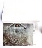 1977 PENTAX CALENDAR