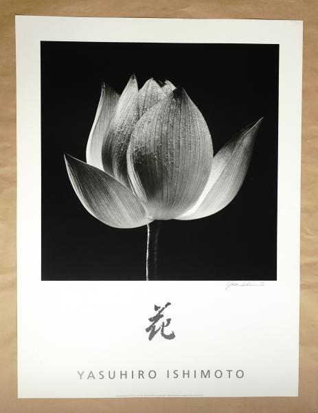 HANA　石元泰博　Yasuhiro Ishimoto Hana（English Edition） - 石元 泰博 / Yasuhiro Ishimoto