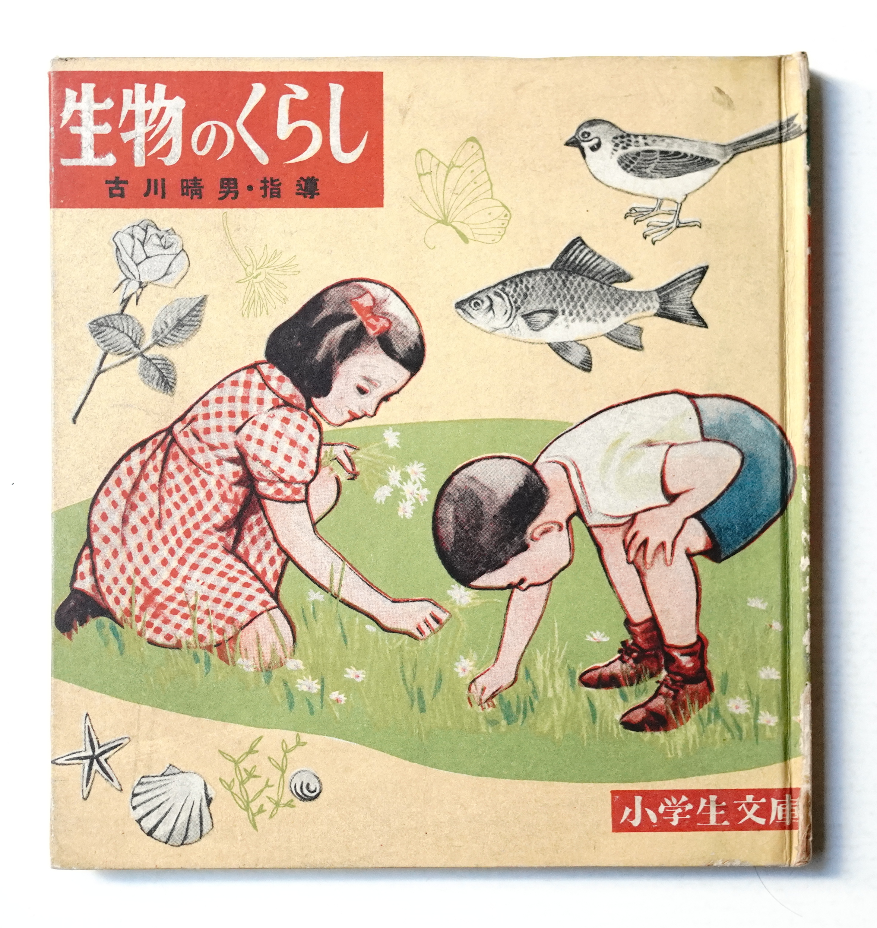 生物のくらし(古川晴男 : 文 ; 門屋一雄 : 装幀 ; 出口実・斎藤