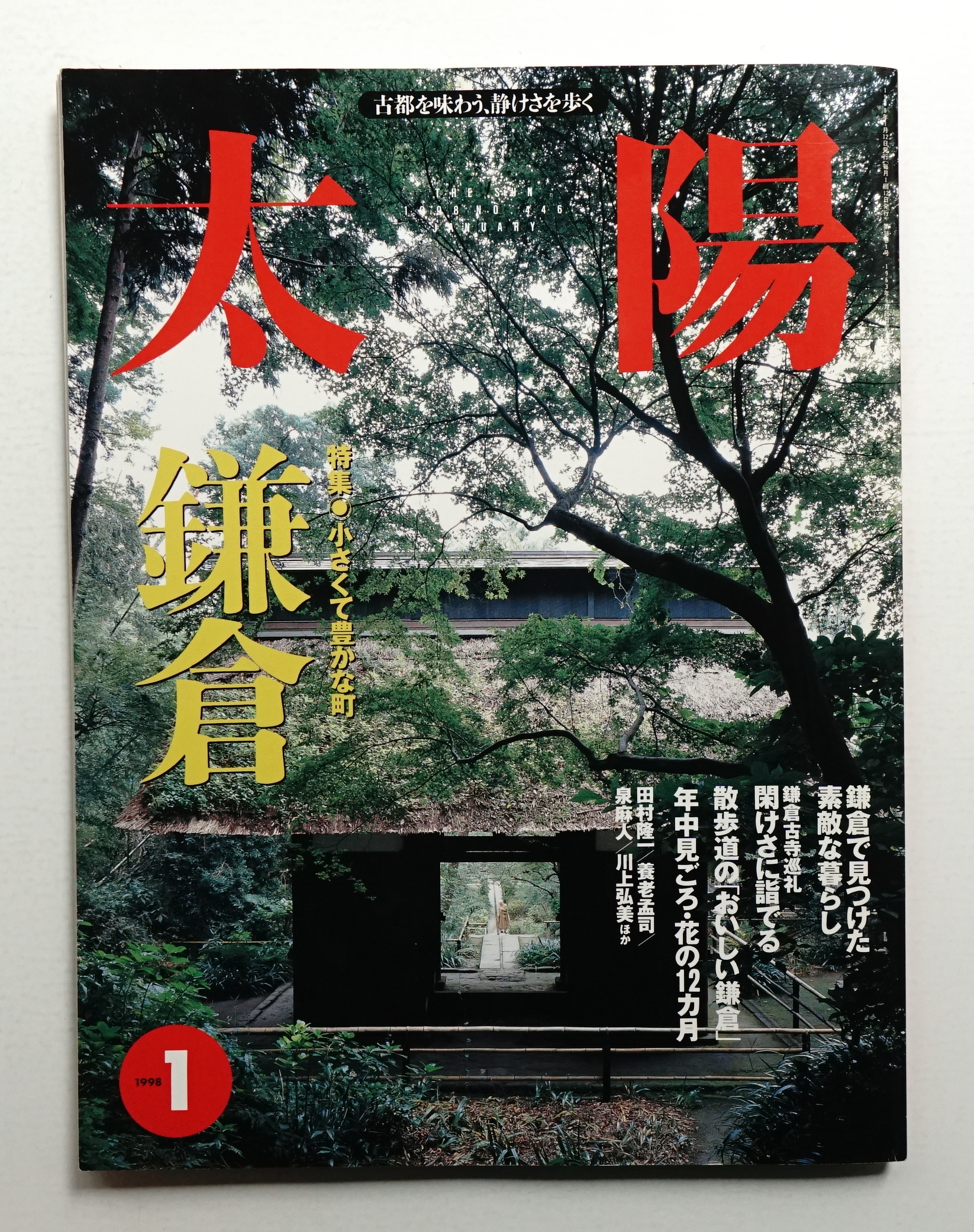 太陽 36巻1号=No.446(1998年1月)(編 : 石川順一 ; アート