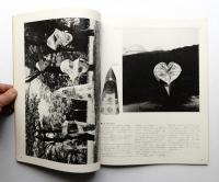 インテリア Japan Interior Design No.266 1981年5月
