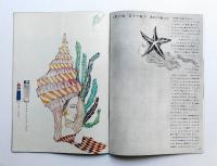 カトレア No.60 第6巻 第7号 (昭和38年7月)