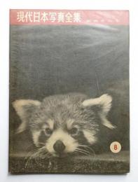 動物作品集