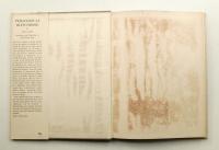 Pedagogical Sketchbook