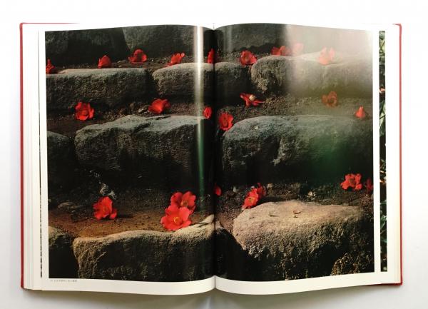 女人高野室生寺 土門拳著 女人高野室生寺 土門拳 - 古書古本買取販売 書肆 とけい草