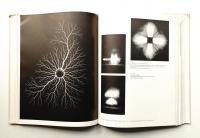THE NEW LANDSCAPE IN ART AND SCIENCE