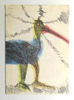 Birds & Cats