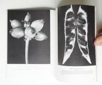 Art Forms from Plant Life