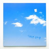 TAKO KITE : 200人のクリエイターによるオリジナル和凧展
