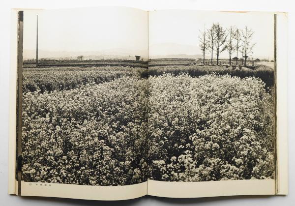 大和路 : 入江泰吉寫眞集 第1集 + 第2集 (2冊揃い一括)(入江泰吉 : 著