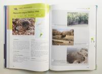 The wild mammals of Japan