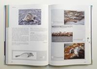 The wild mammals of Japan