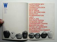 About U.S. Experimental Typography By American Designers