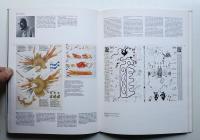 Rassegna 19 (1984年9月)