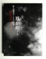 鳳が翔く : 榮久庵憲司とGKの世界