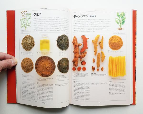 スパイスブック : 香辛料の実用ガイド(ジル・ノーマン : 著 ; 長野ゆう