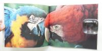 L'oiseau