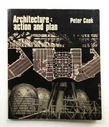 Architecture action and plan