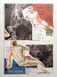 熱帯樹