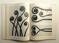 Urformen der Kunst