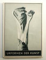 Urformen der Kunst