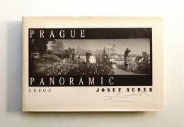 Prague Panoramic