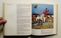Italy: The New Domestic Landscape Achievements and Problems of Italian Design