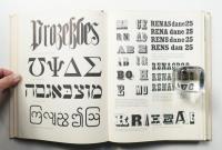 American Wood Type, 1828-1900: Notes on the Evolution of Decorated and Large Types