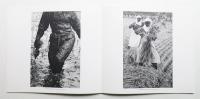 Hiroshi Hamaya : fifty five years of photography, 1930-1985