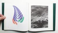 An Eye For Fractals: A Graphic And Photographic Essay