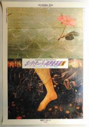 ボッティチェルリの両界曼荼羅展