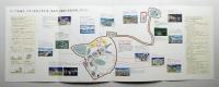 2005年日本国際博覧会