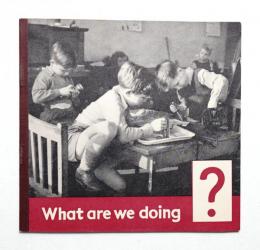 What are we doing?
