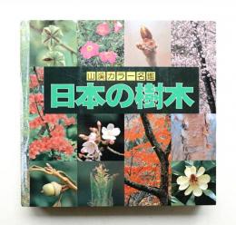 日本の樹木