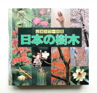日本の樹木