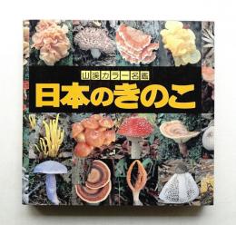 日本のきのこ
