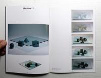 AMBIENTE INTERNATIONAL