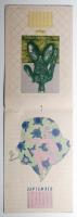 Push Pin Graphic Number 58 (1973年)