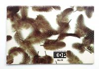 E + D + P 出版印刷表現の遊びと研究 No.19