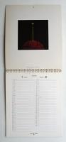 hamaguchi's six color mezzotints Calendar 1979